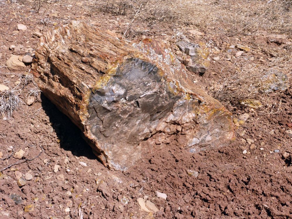 Escalante state park (15).JPG